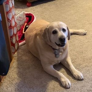 Meet your Posher, Jerri